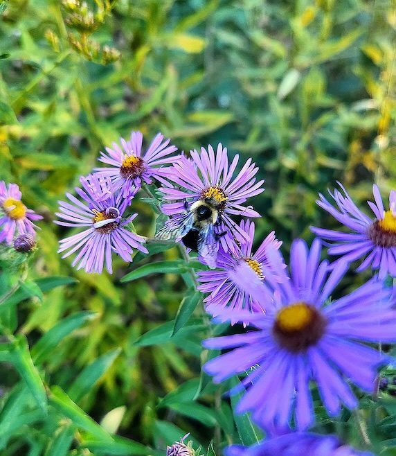 Real SEO case studies