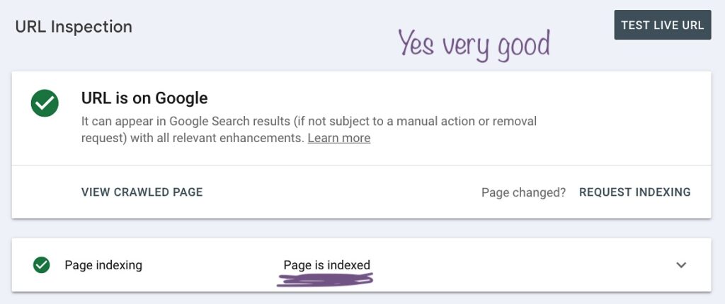 Indexation check through Google Search Console