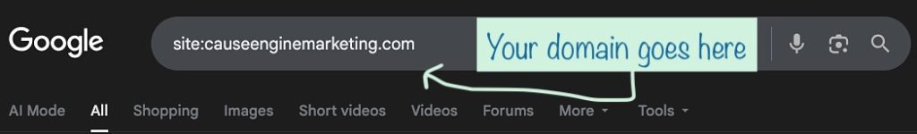 Performing a site: search on Google