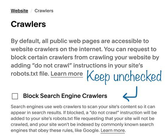 Checkbox for blocking search engine crawlers on Squarespace