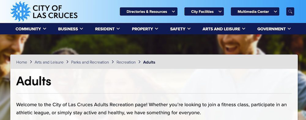 Adult sports leagues in southern New Mexico