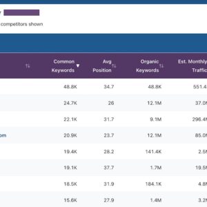 Website results from the Competitor Finder tool
