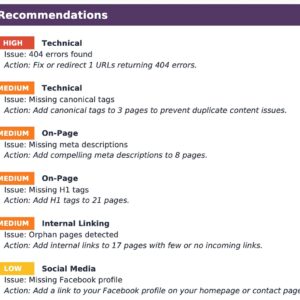 Example results from the Technical SEO Audit tool